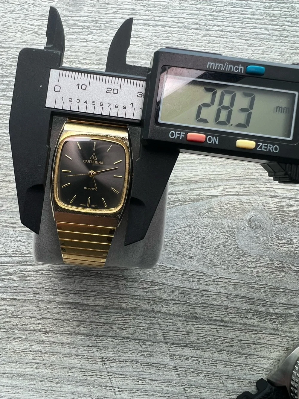 Carterina Quartz mens gold tank watch